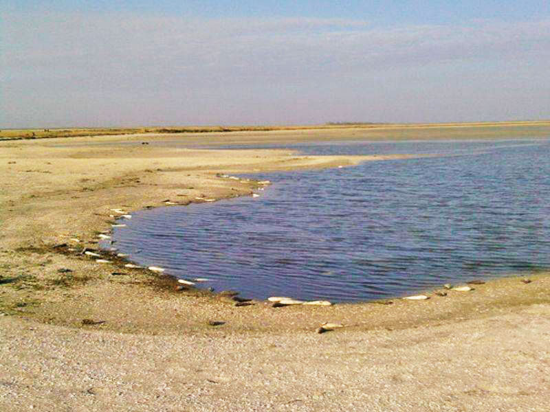 Кирилівське